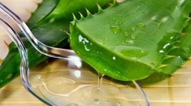Aloe para aumentar el potencial de los hombres